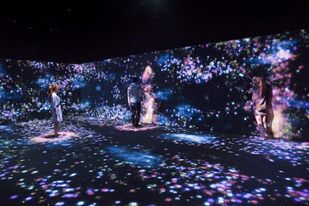 邢东、朗朗等明星祝贺全球十大必看展览亮相深圳