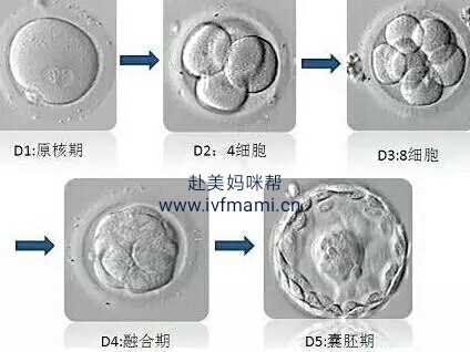 微信图片_20170713145805.jpg