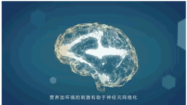 揭秘大脑发育关键营养，奶粉选择有章可循
