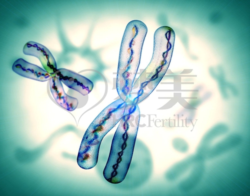 图片2_副本.jpg