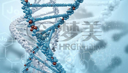 图片1_副本.jpg