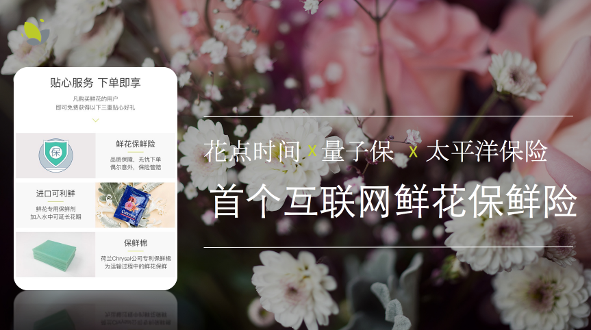 不新鲜就退款 花点时间和太平洋联合推出鲜花保鲜险