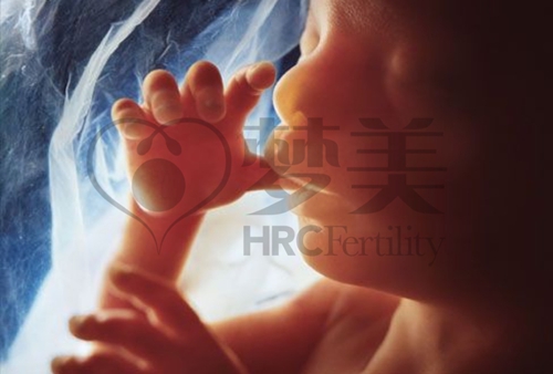 梦美解读：美国试管婴儿与国内试管成功率差异