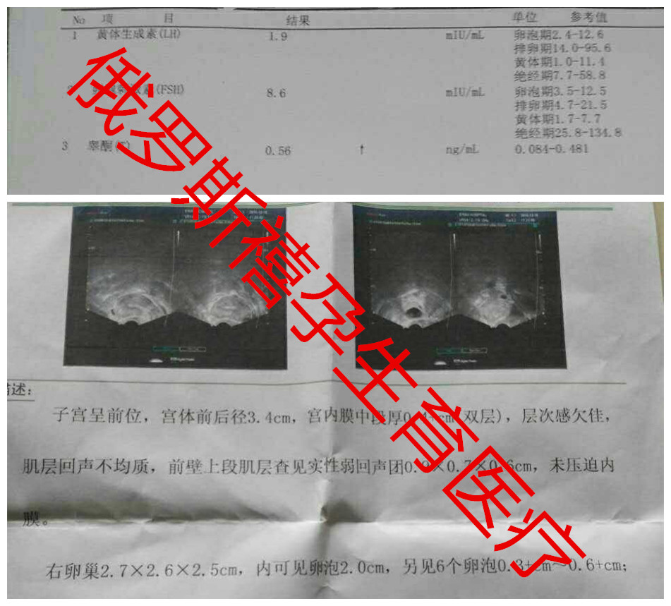微信图片_20170807192719_副本.jpg