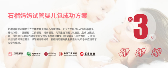 专家说试管婴儿成功取决这些点 石榴妈妈包成功方案已具备