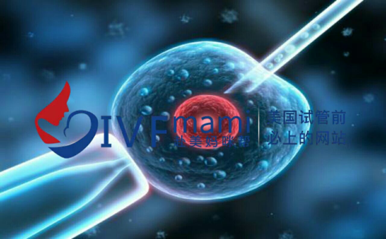 赴美妈咪帮科普｜影响美国试管婴儿胚胎质量和数量的四大指标
