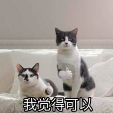 C:UsersAdministratorAppDataRoamingTencentQQTemp�DE214F3090646C18804D0C34FC2289D.jpg