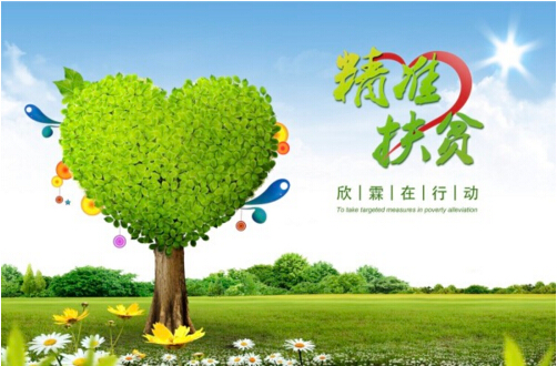 欣霖公益：真抓实干不忘“富民”担当