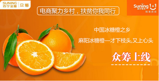 双11当天网红直播冰糖橙 苏宁众筹持续“精准扶贫”