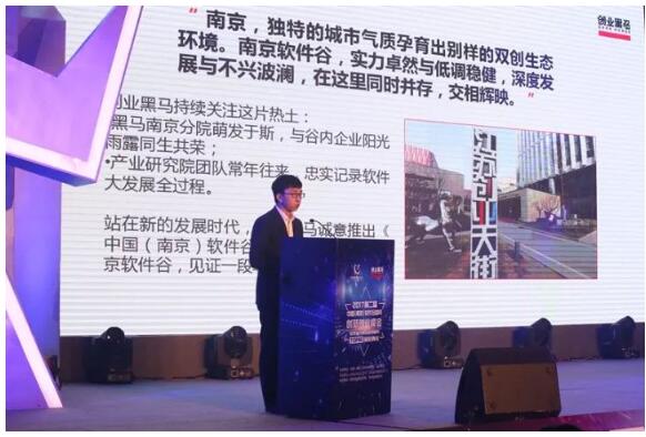2017第二届中国（南京）软件互联网创新创业峰会盛大举行