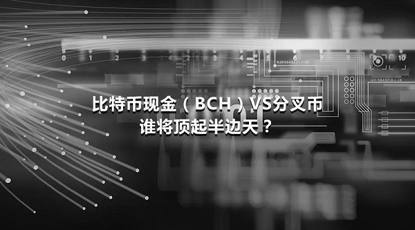 比特现金（BCH）VS分叉币，谁能撑起半边天？