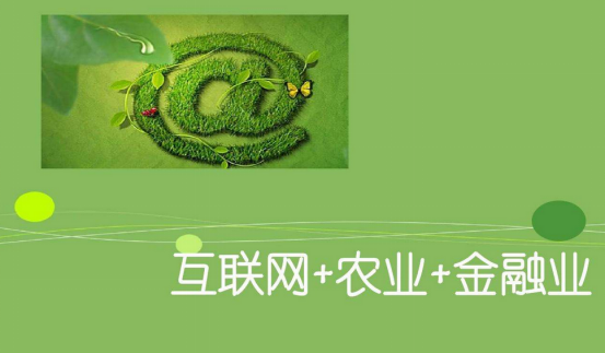 助力三农产业发展  元宝365等平台构建多元农业产业链金融服务