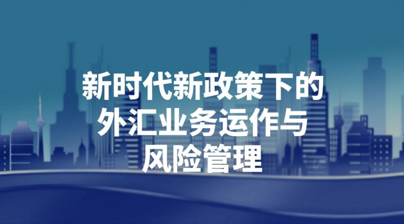 新时代新政策下的外汇业务运作与风险管理