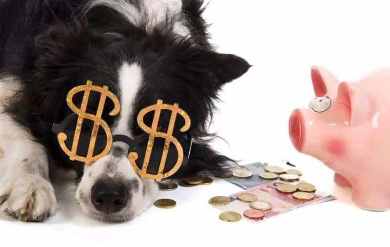 金融狗的春天来了，除了现金贷的