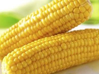玉米系期货短期承压