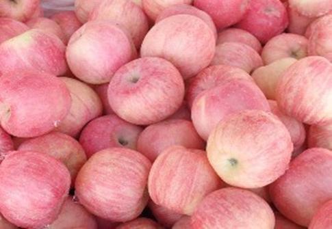 苹果价格波动频繁“保险+期货”为果农送来“平安果”