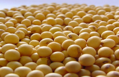 4月出口恢复增长 大豆进口量价齐跌
