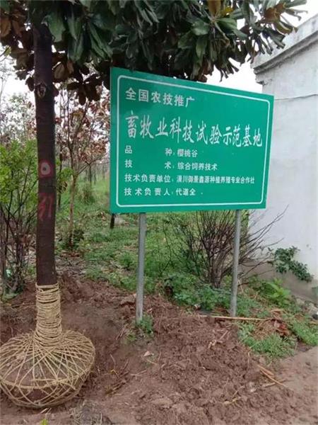 图片5.jpg