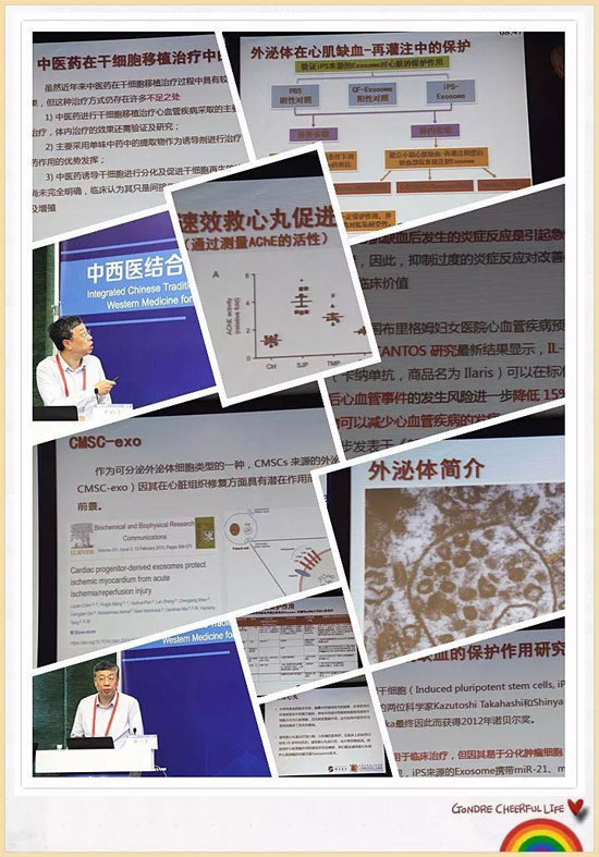 第十二届东方心脏病学会：速效救心丸可增强外泌体对心肌细胞的保护作用
