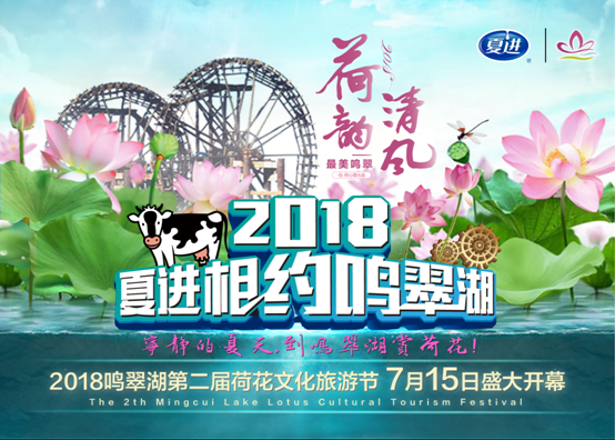 谁说赏荷非得去江南，宁夏一样有最美荷塘！