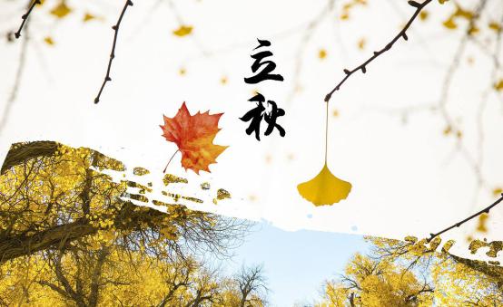 转眼立秋到，赛普瑞斯不粘锅帮你贴秋膘