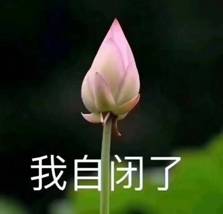 开年陪伴有鲤，冷酸灵新年福袋再升级！