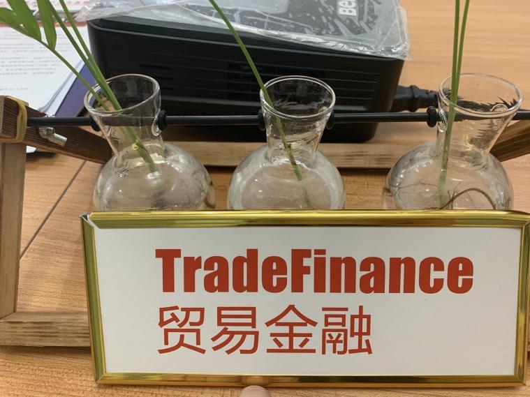 招新啦！！！贸易金融招聘开始啦~~~~