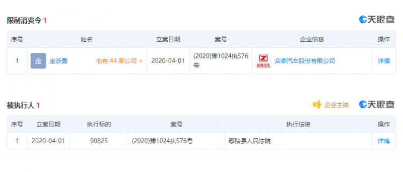 众泰汽车董事长被限制高消费